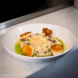 Salmon or Diver Scallops