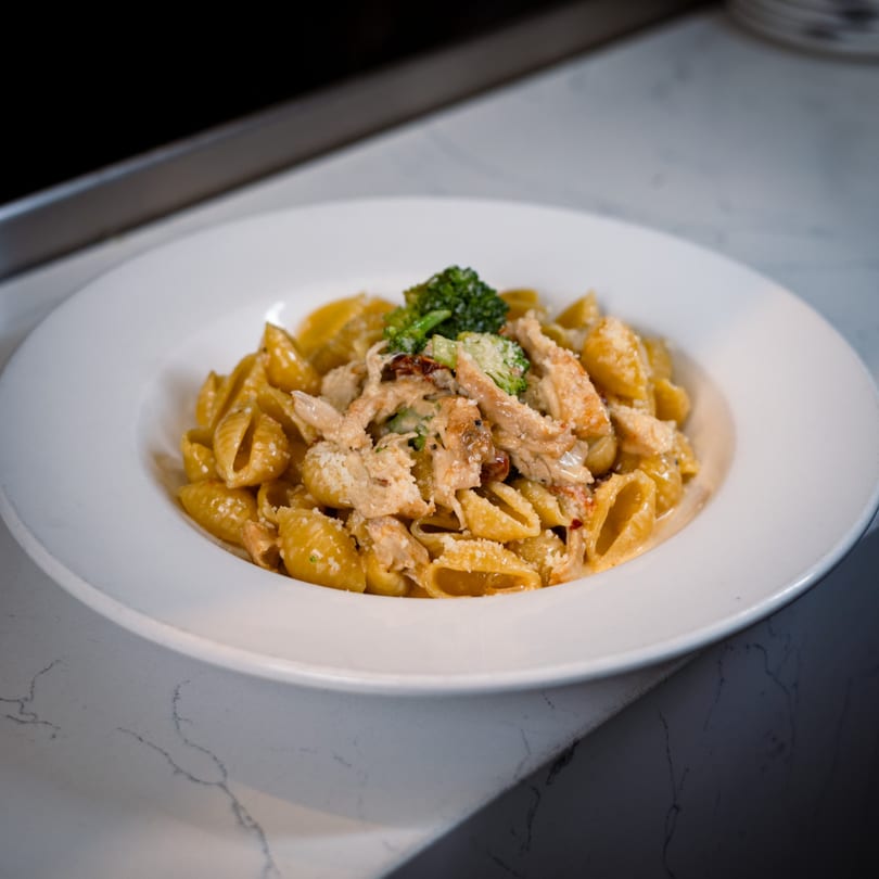 Conchiglie pasta with chicken, broccoli, and parmesan cheese in a creamy sauce.